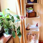 Da Paolo Centro Storico 奥斯塔