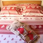 Da Paolo Centro Storico 公寓 奥斯塔